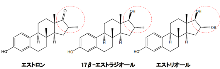 エストロゲンの化学構造