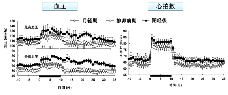 精神的ストレスを感じた時の血圧と心拍数の変化