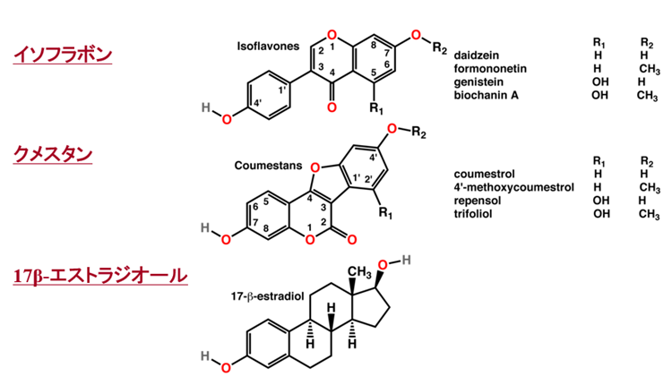 植物エストロゲンと17β-エストラジオールの化学構造の類似